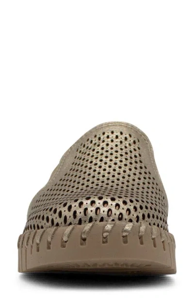 Bottero Bottwister Mule