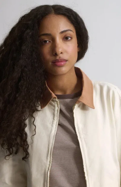 Brooklyn Industries Turtledove Jacket In Gray