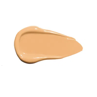 Ogee Complexion Perfecting Concealer