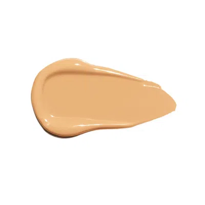 Ogee Complexion Perfecting Concealer