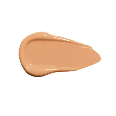 Ogee Complexion Perfecting Concealer