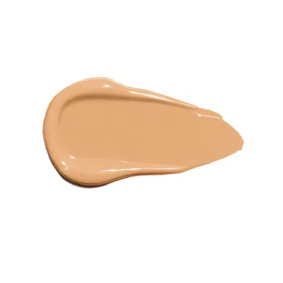 Ogee Complexion Perfecting Concealer