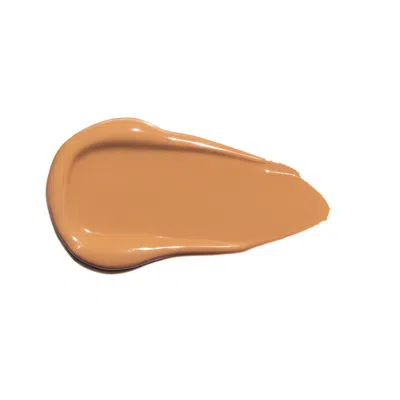 Ogee Complexion Perfecting Concealer