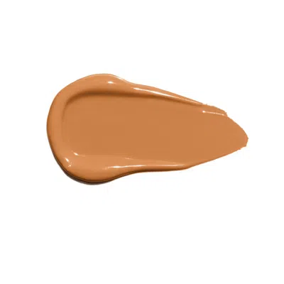 Ogee Complexion Perfecting Concealer