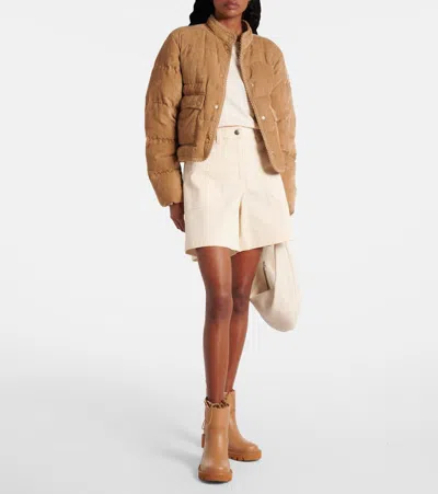 Moncler Essarts Ricrac-trimmed Quilted Padded Down Corduroy Jacket In Multi