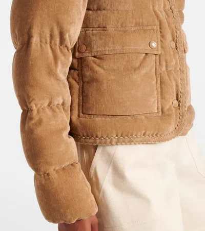 Moncler Essarts Ricrac-trimmed Quilted Padded Down Corduroy Jacket In Multi