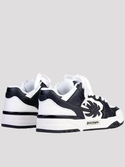 Palm Angels Venice Sneakers Shoes In Black