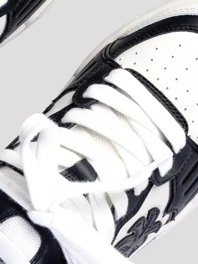 Palm Angels Venice Sneakers Shoes In Black
