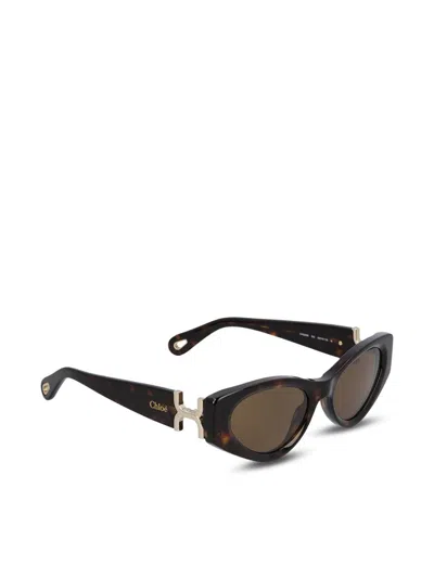Chloé Glasses In Brown