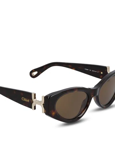 Chloé Glasses In Brown
