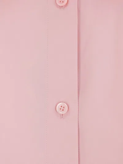 Loewe Cotton Shirt In Pink