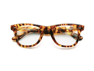 Caddis Progressive Glasses - Terrapin / Classic / 1.00