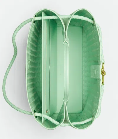 Bottega Veneta Large Andiamo In Green