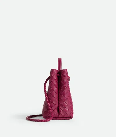 Bottega Veneta Women Andiamo Small Bag Cyclamen-coloured Bag