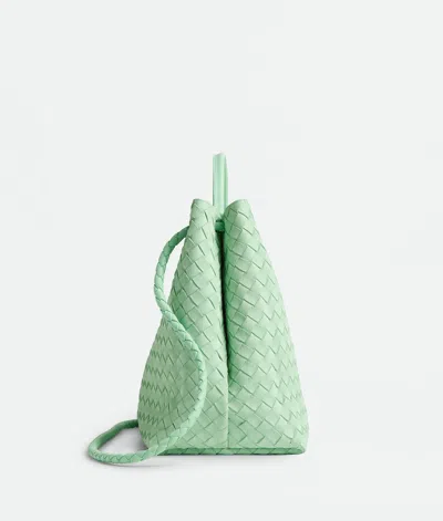Bottega Veneta Large Andiamo In Green