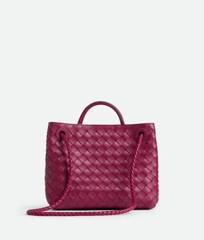 Bottega Veneta Women Andiamo Small Bag Cyclamen-coloured Bag