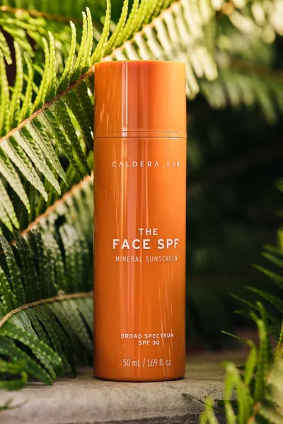 Caldera + Lab The Face Spf Mineral Sunscreen