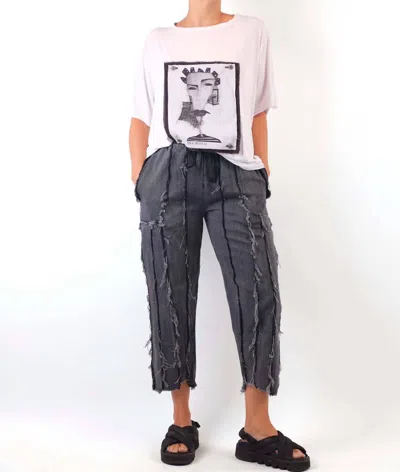 Loyko Clone Cropped Pants In Grey