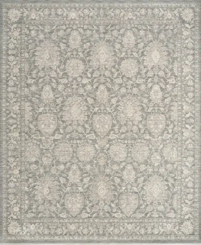 Nourison Home Shadows Shw08 Rug Collection In Gray