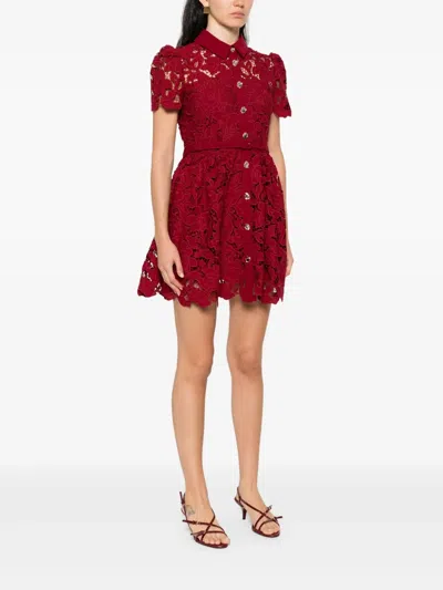 Self-portrait Burgundy Mini Dress With Lace Collar In Gold