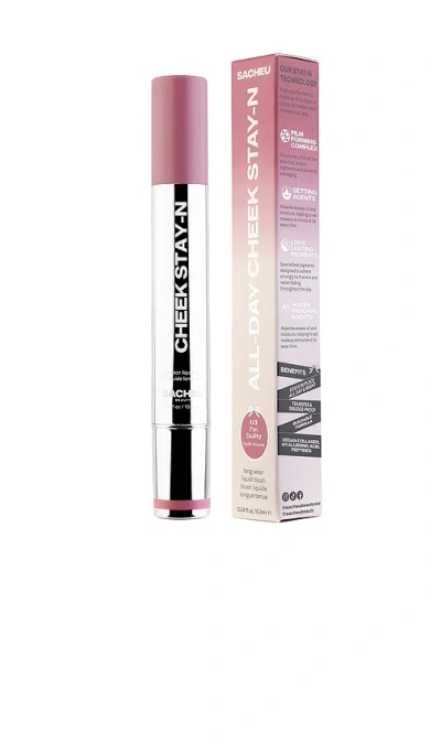 CHEEK STAY-N ALL DAY LIQUID BLUSH 腮红