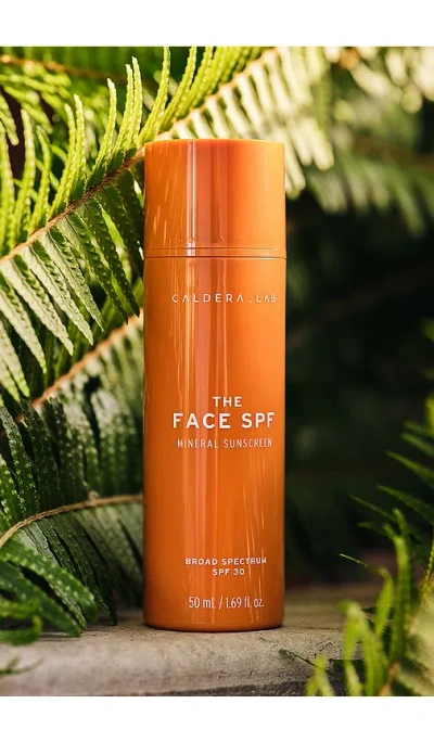 Caldera + Lab The Face Spf Mineral Sunscreen