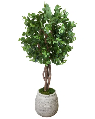 Creative Displays Oriental Ficus Tree In Stone Pot In Gray