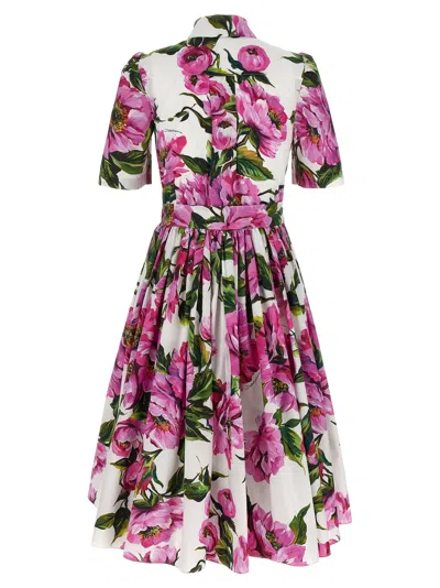 Dolce & Gabbana Pink Crewneck Dress With Logo Lettering Detail On The Front And All-over Floral Motif In Cotton Woma In White