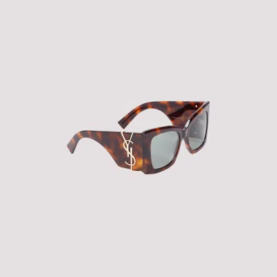 Saint Laurent Oversized Havana Green Acetate Sunglasses With Tortoiseshell Pattern In Brown