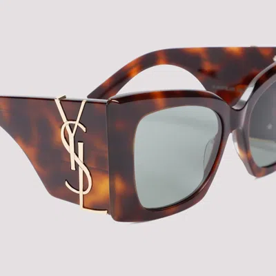 Saint Laurent Oversized Havana Green Acetate Sunglasses With Tortoiseshell Pattern In Brown