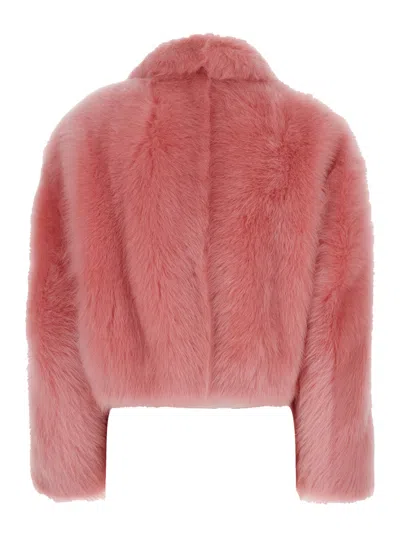 Bottega Veneta 'toscana' Pink Cropped Shearling Coat With Classic Collar And Front Concealed Closure