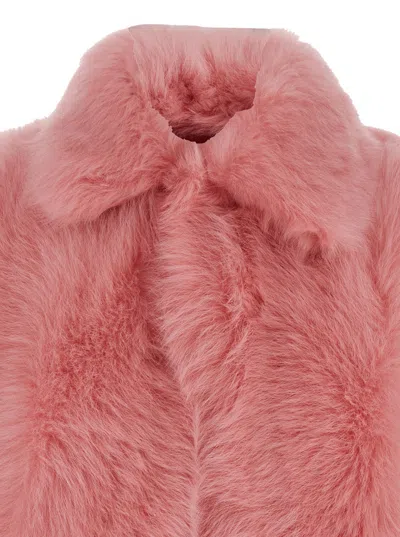 Bottega Veneta 'toscana' Pink Cropped Shearling Coat With Classic Collar And Front Concealed Closure