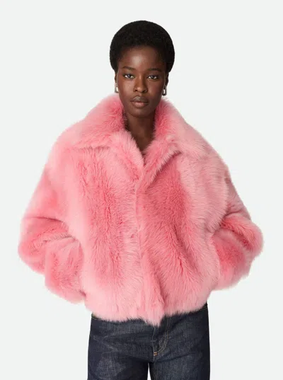 Bottega Veneta 'toscana' Pink Cropped Shearling Coat With Classic Collar And Front Concealed Closure