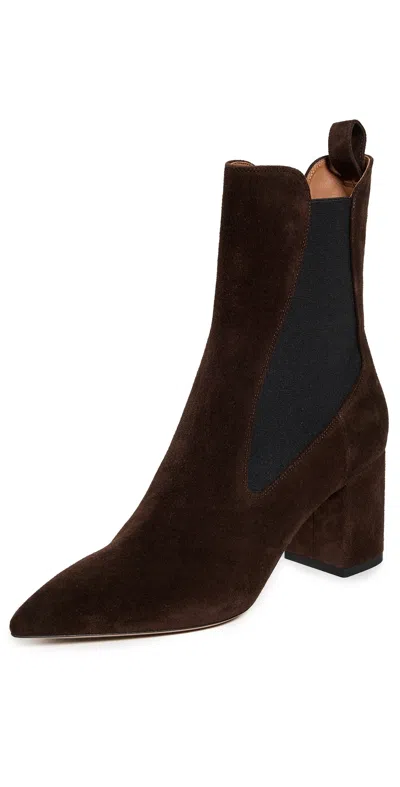 Paris Texas Pointed Toe Suede Ankle Boots With Block Heel