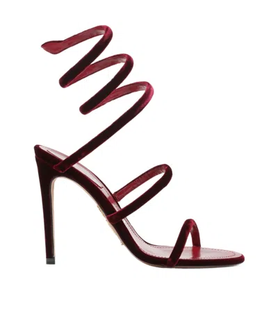 René Caovilla Spiral Design Velvet Heels With Ankle Wrap In Burgundy