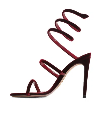 René Caovilla Spiral Design Velvet Heels With Ankle Wrap In Burgundy