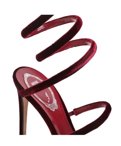 René Caovilla Spiral Design Velvet Heels With Ankle Wrap In Burgundy