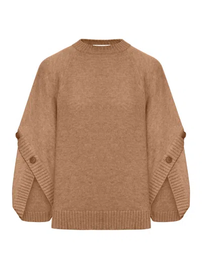 Max Mara Knitwear With Button Detail And Raglan Sleeves In Brown