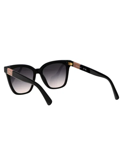 Longchamp Lol696s Sunglasses In Black