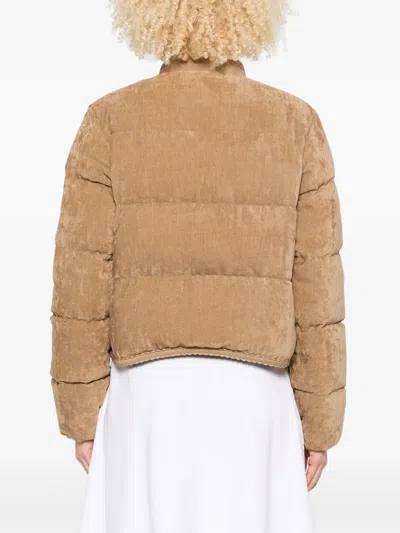 Moncler Essarts Ricrac-trimmed Quilted Padded Down Corduroy Jacket In Brown