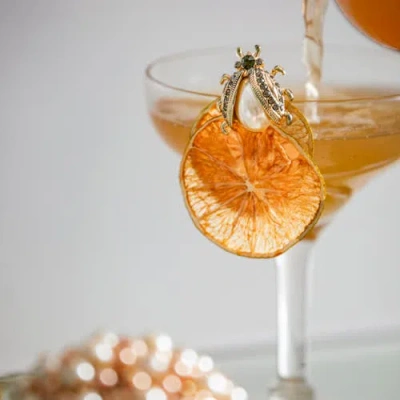 Joanna Buchanan Set-of-five Mini Bug Clip Set In Multi