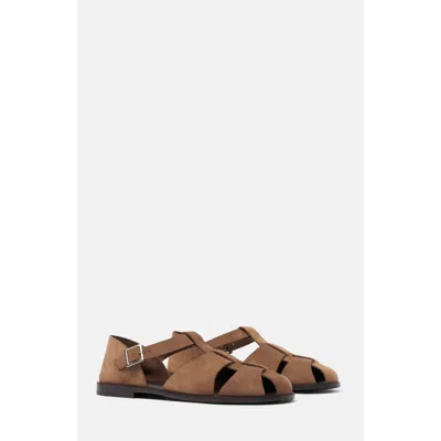 Scarosso Apollo Taupe Suede In Brown