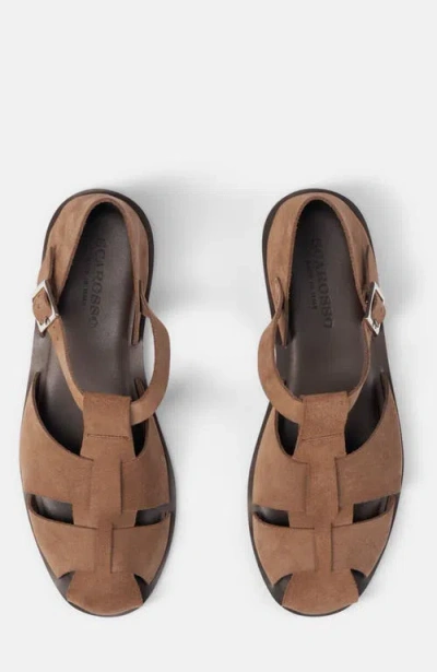 Scarosso Apollo Taupe Suede In Brown