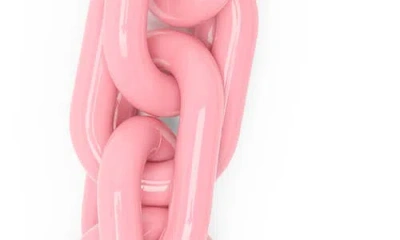 Clare V . Shortie Resin Link Chain Strap