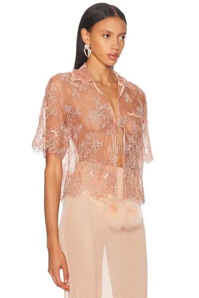 Blumarine Short Sleeve Lace Blouse In Multi