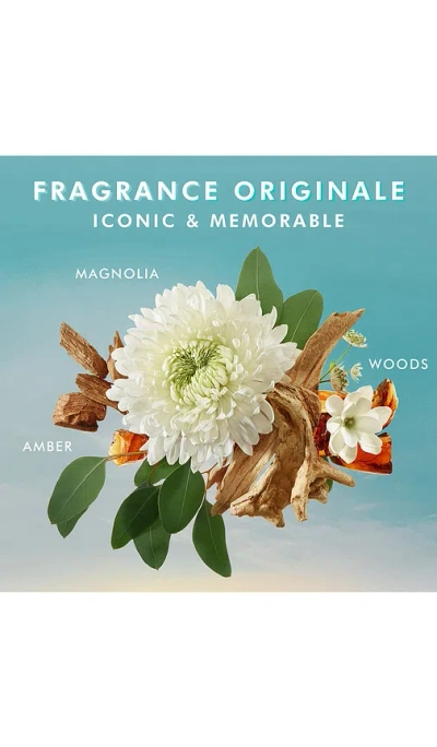 Moroccanoil Fragrance Originale Shower Gel