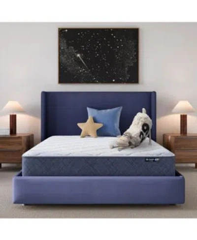 Serta Dream Haven 10 Medium Tight Top Mattress In A Box Collection