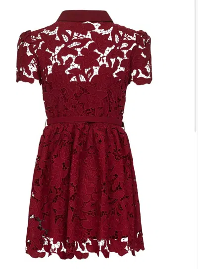 Self-portrait Womens Embroidered Collared Lace Mini Dress Burgundy In Red