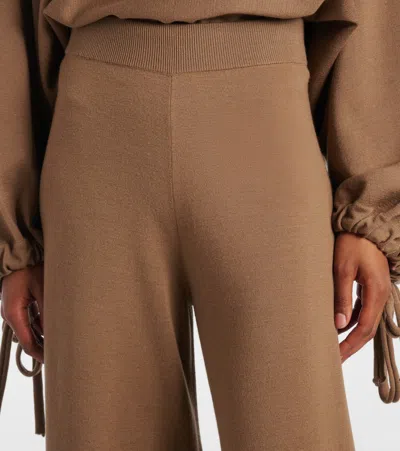 Max Mara Nigeria Wool Wide-leg Pants In Brown