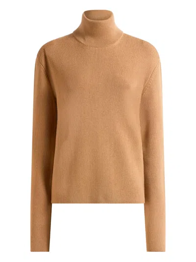 Etro Ribbed Knit Turtleneck Wool Sweater In Brown